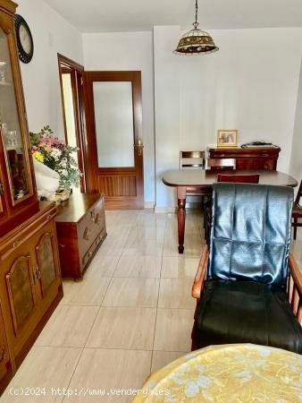 APARTAMENTO CON PATIO EN LA ZONA CERRO FALON - CADIZ