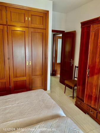 APARTAMENTO CON PATIO EN LA ZONA CERRO FALON - CADIZ