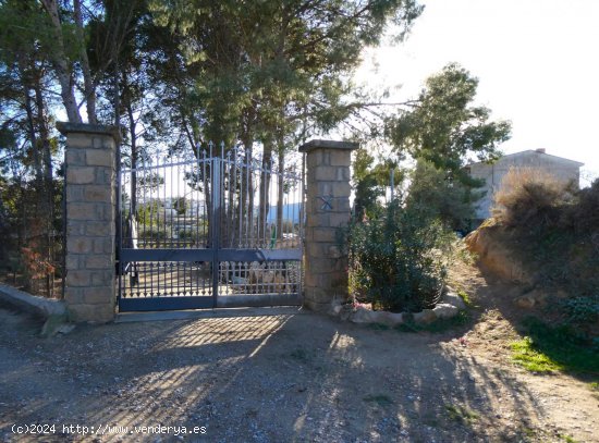 Finca en venta en Caspe (Zaragoza)