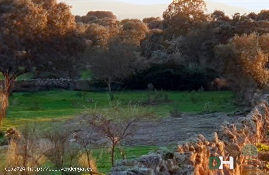 Solar en venta en Cáceres (Cáceres)