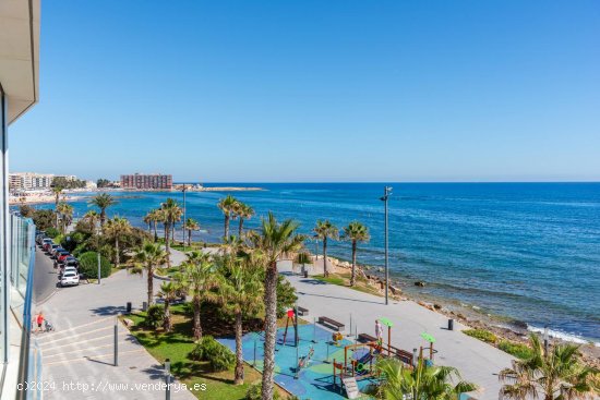 Apartamento en venta a estrenar en Torrevieja (Alicante)