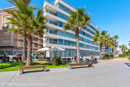 Apartamento en venta a estrenar en Torrevieja (Alicante)