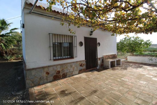 Finca en venta en Álora (Málaga)