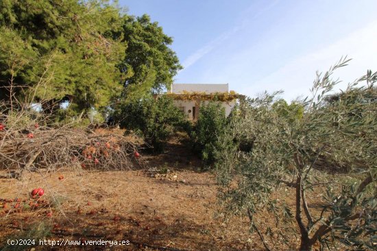 Finca en venta en Álora (Málaga)