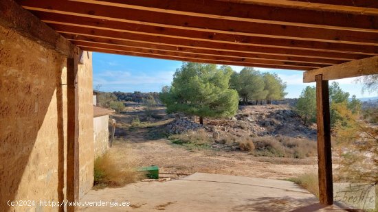 Finca en venta en Caspe (Zaragoza)