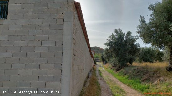 Nave en venta en La Fresneda (Teruel)