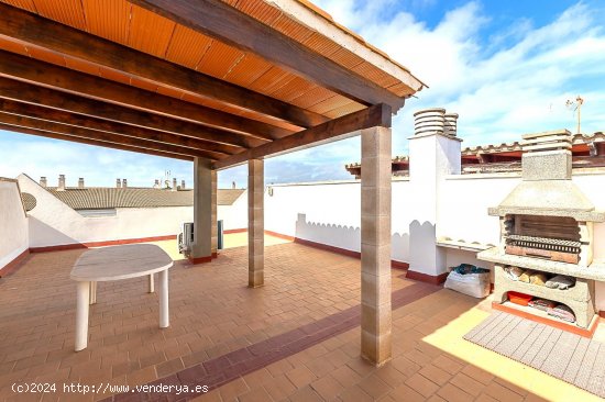  Apartamento en alquiler en Colonia de Sant Jordi (Baleares) 