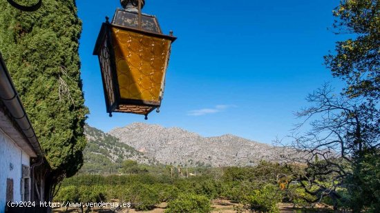 Finca en venta en Pollença (Baleares)