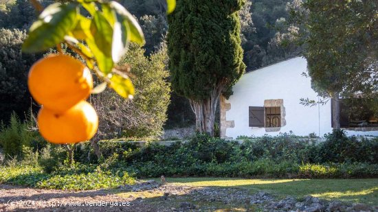 Finca en venta en Pollença (Baleares)