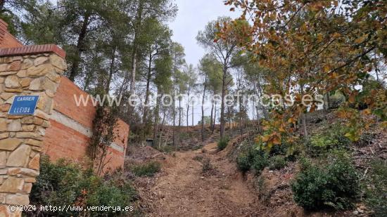 Terreno en Cabrera D`Anoia de 1331m². - BARCELONA