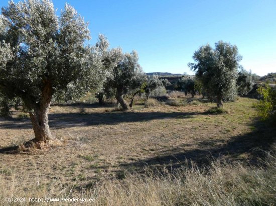 Finca en venta en Maella (Zaragoza)