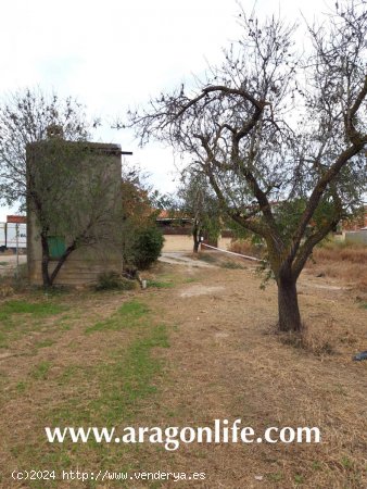 Finca en venta en Maella (Zaragoza)