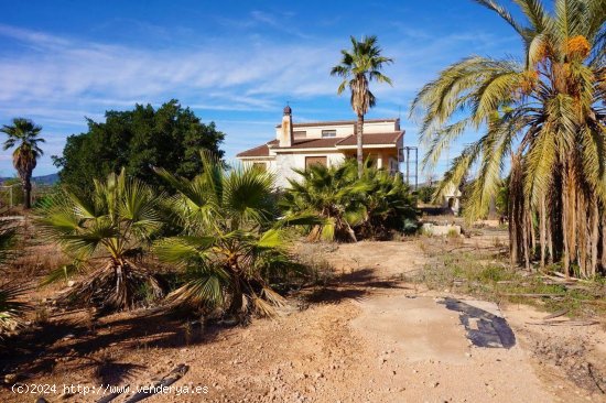 Villa en venta en Torre-Pacheco (Murcia)