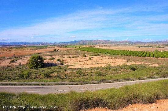 Villa en venta en Torre-Pacheco (Murcia)