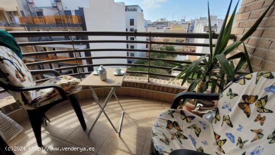 SE VENDE BONITO APARTAMENTO EN PRIMERA LINEA DE MAR!!!!!!!!  A TAN SOLO 5 M. DEL MAR. - ALICANTE