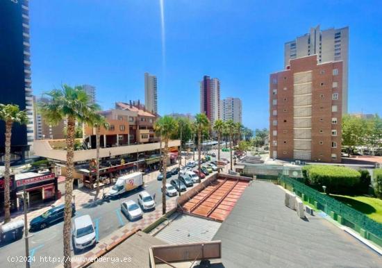 APARTAMENTO EN LEVANTE - ALICANTE