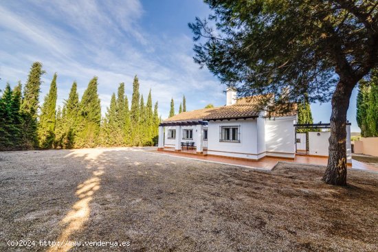 Villa en venta a estrenar en Fuente Álamo de Murcia (Murcia)