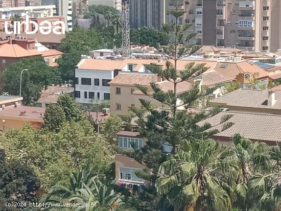  Loft Duplex en el centro de Málaga - MALAGA 