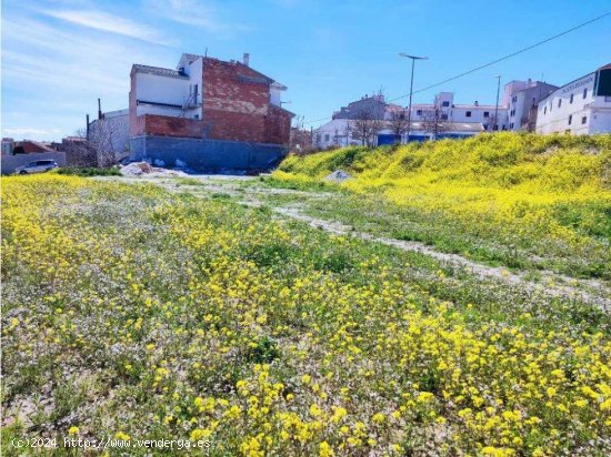 Finca en venta en Baza (Granada)