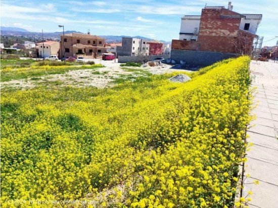 Finca en venta en Baza (Granada)