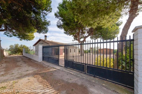 Finca en venta en Daya Nueva (Alicante)