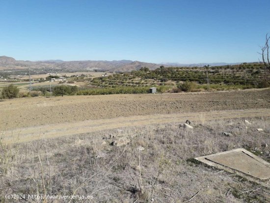 Finca en venta en Cártama (Málaga)