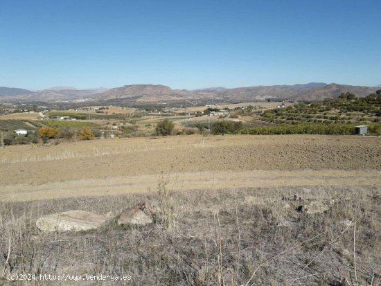 Finca en venta en Cártama (Málaga)