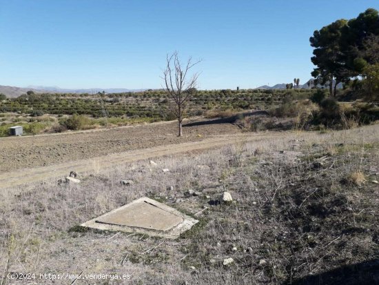 Finca en venta en Cártama (Málaga)