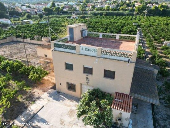 Finca en venta en Beniarbeig (Alicante)