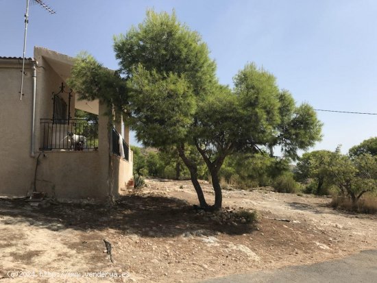  Finca en venta en Crevillent (Alicante) 