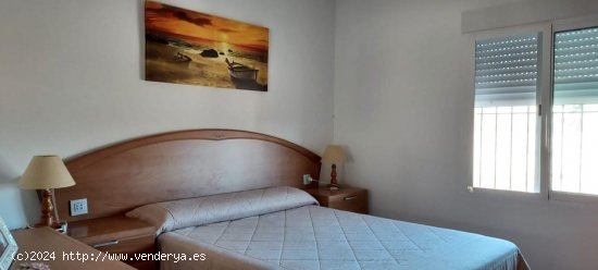 Finca en venta en Crevillent (Alicante)