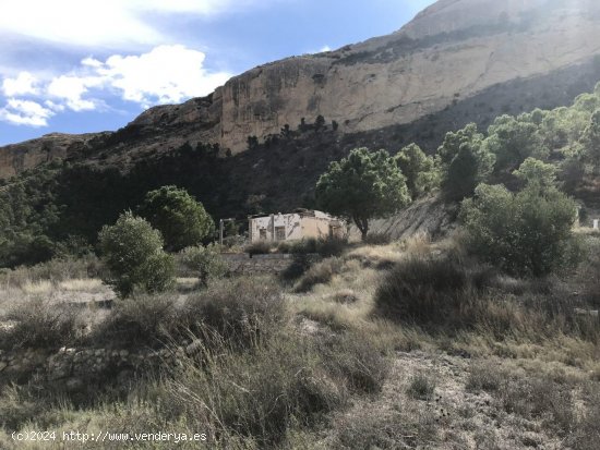  Finca en venta en Crevillent (Alicante) 