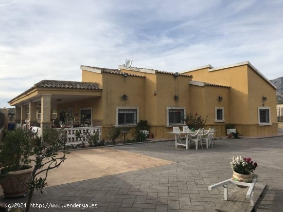 Finca en venta en Crevillent (Alicante)