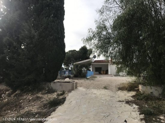 Finca en venta en Crevillent (Alicante)