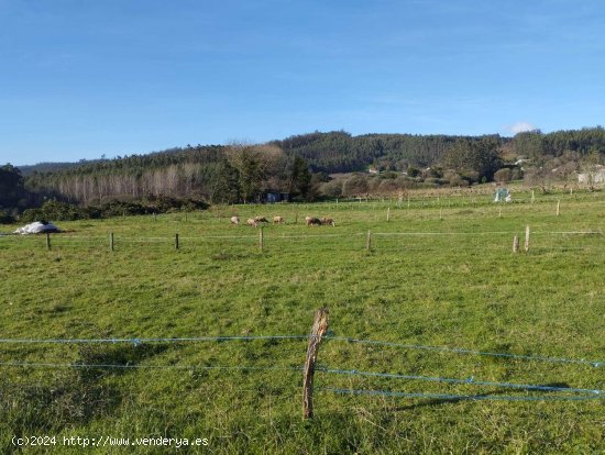 Finca en venta en Cedeira (La Coruña)