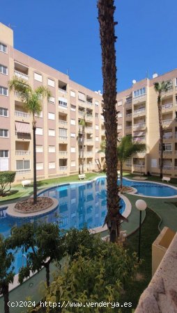  Estudio en venta en Torrevieja (Alicante) 