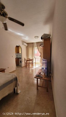 Estudio en venta en Torrevieja (Alicante)