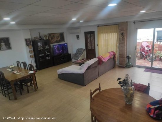 Finca en venta en Almoradí (Alicante)