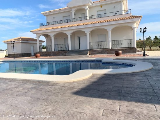  Villa en venta a estrenar en Pinoso (Alicante) 