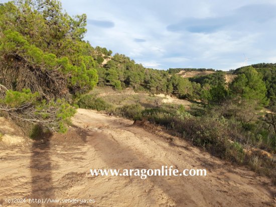 Finca en venta en Caseres (Tarragona)