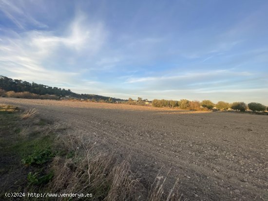 Solar en venta en Sineu (Baleares)