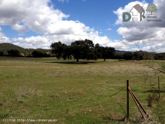 Solar en venta en Badajoz (Badajoz)