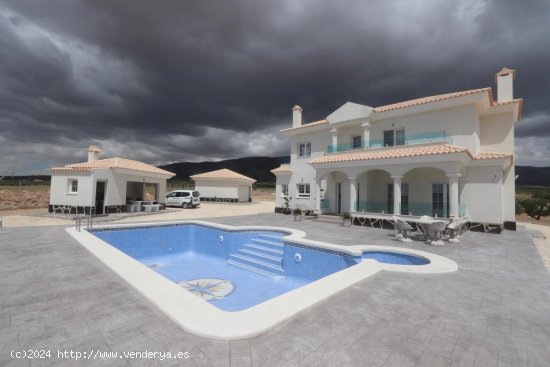  Villa en venta a estrenar en Pinoso (Alicante) 