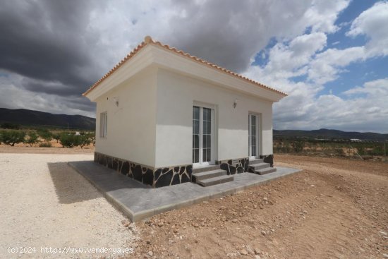 Villa en venta a estrenar en Pinoso (Alicante)