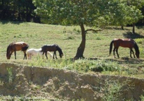 Finca en venta en Porqueres (Girona)