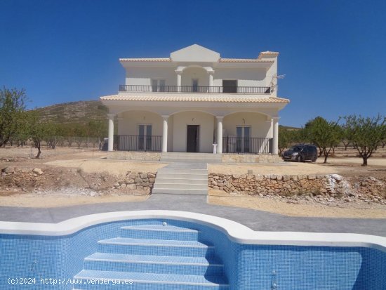  Villa en venta a estrenar en Pinoso (Alicante) 