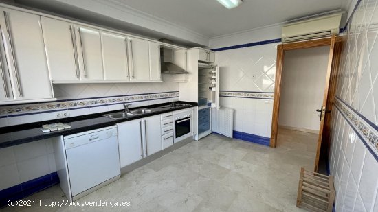 Apartamento en alquiler en Palma de Mallorca (Baleares)