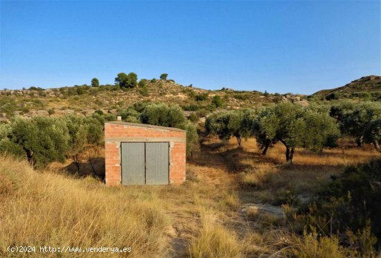 Finca en venta en Caspe (Zaragoza)