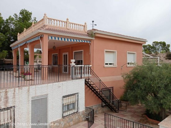  Finca en venta en Crevillent (Alicante) 