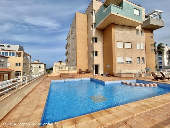 Apartamento en alquiler en Oliva (Valencia)